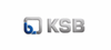 KSB SE & Co. KGaA