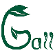 Ganzheitliche Physiotherapie Gall