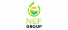 Firmenlogo: NEF Förderungs GmbH